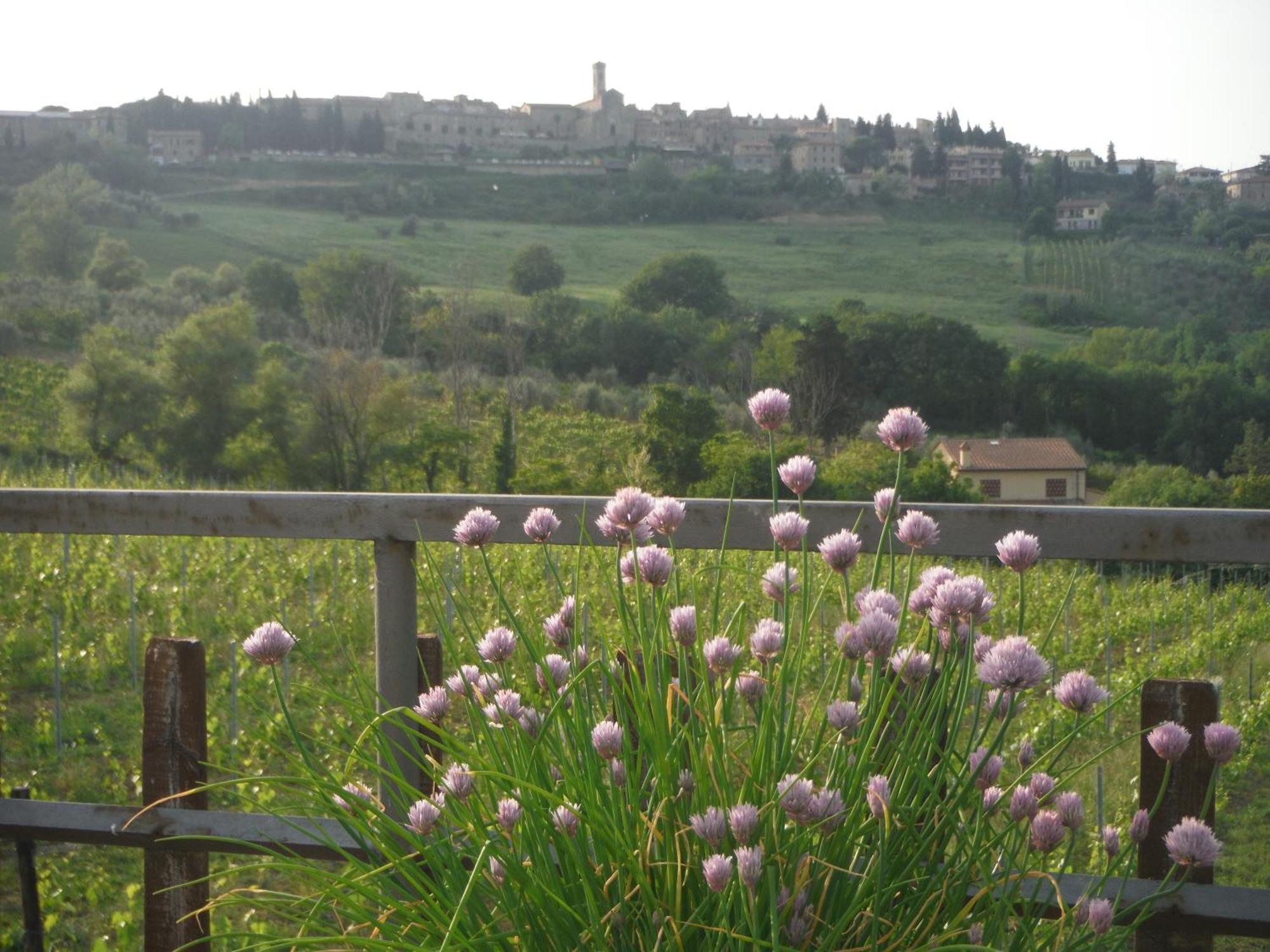Due Piani Villa Barberino di Val dʼElsa Eksteriør bilde