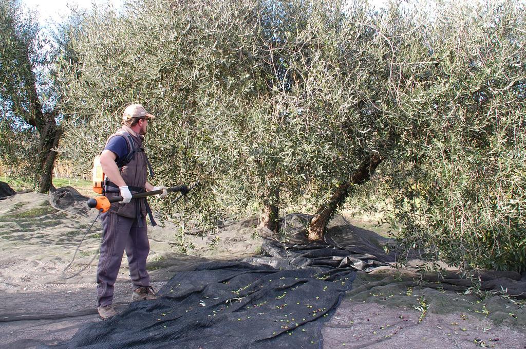 Due Piani Villa Barberino di Val dʼElsa Eksteriør bilde