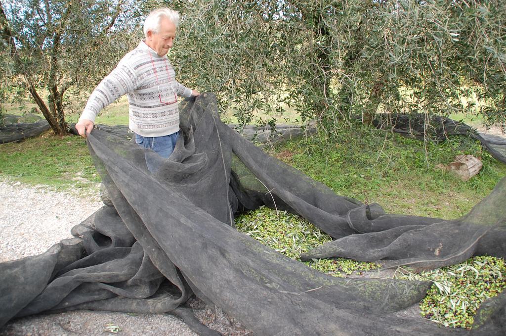 Due Piani Villa Barberino di Val dʼElsa Eksteriør bilde