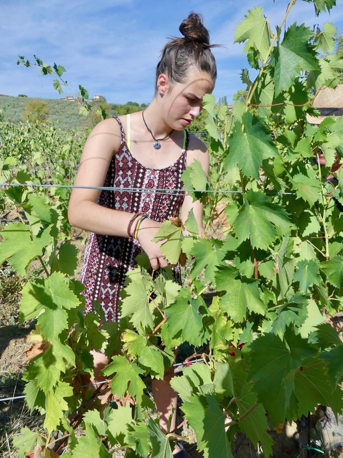 Due Piani Villa Barberino di Val dʼElsa Eksteriør bilde
