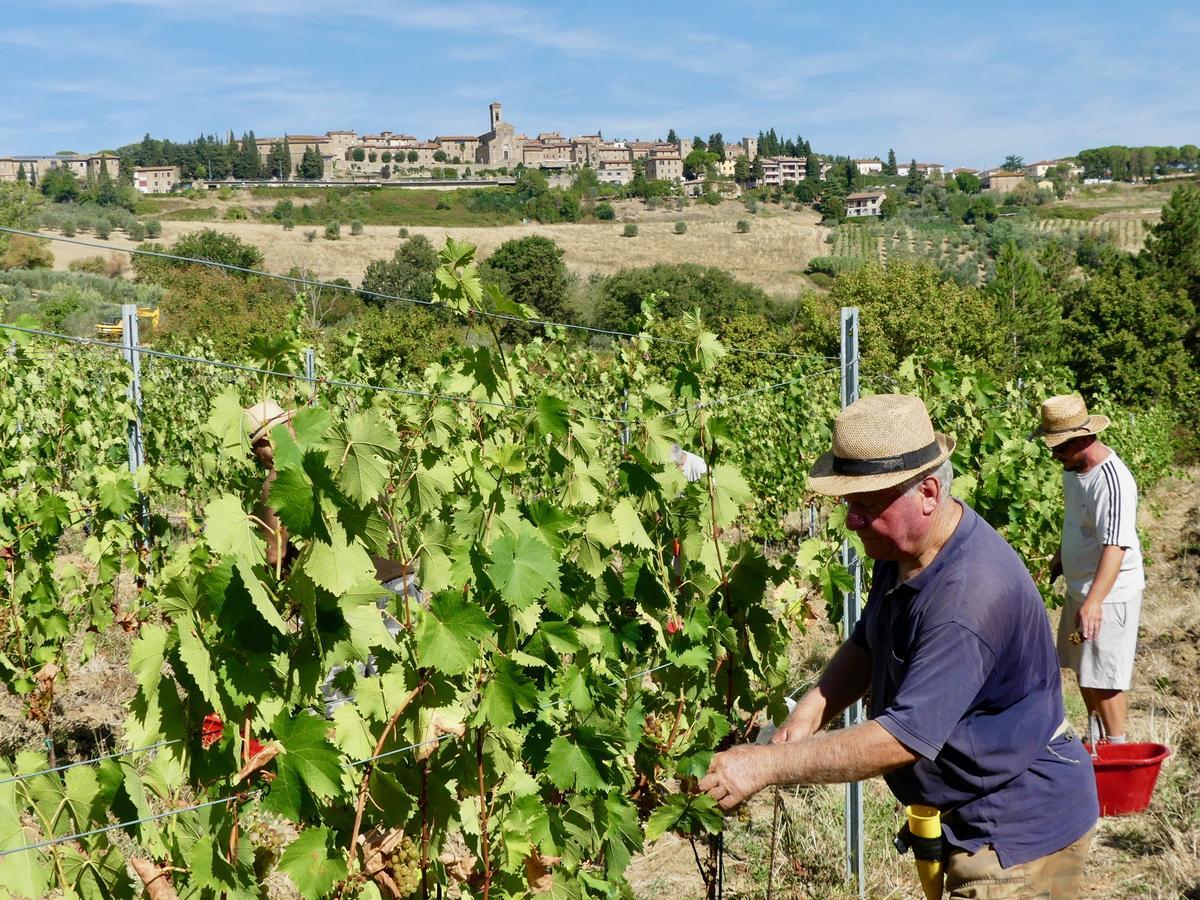 Due Piani Villa Barberino di Val dʼElsa Eksteriør bilde